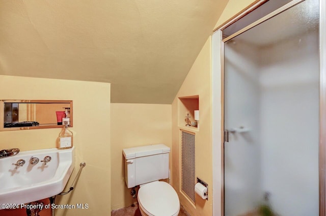 bathroom featuring toilet, vaulted ceiling, and sink