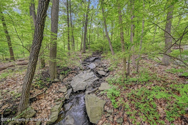 view of local wilderness