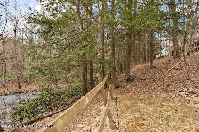 119 S Lehigh River Dr, Clifton Twp, PA 18424 - photo 7