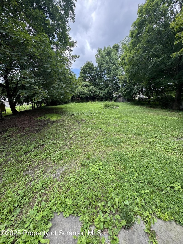 41 William St, Hallstead, PA 18822 - view of yard