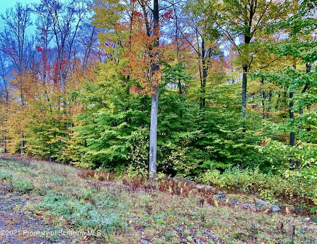 449 Summit Woods, Roaring Brook Twp, PA 18444 - photo 4