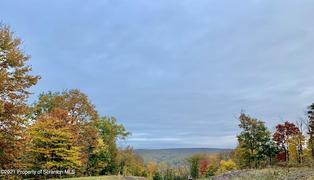 449 Summit Woods, Roaring Brook Twp, PA 18444 - photo 2