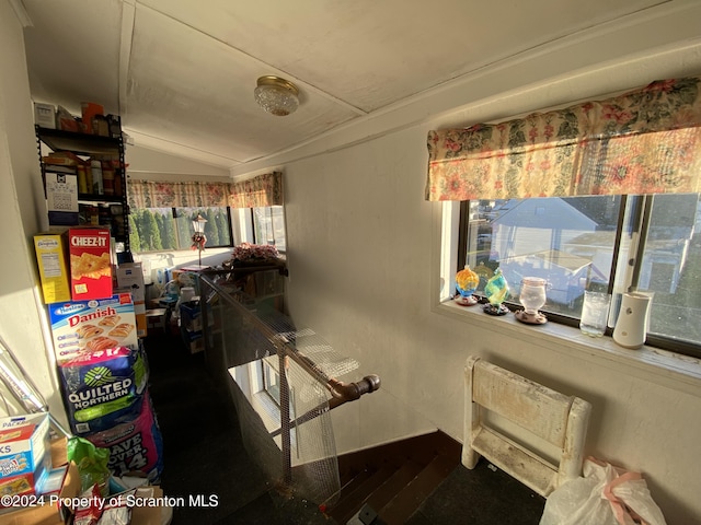 interior space featuring plenty of natural light, radiator heating unit, and vaulted ceiling