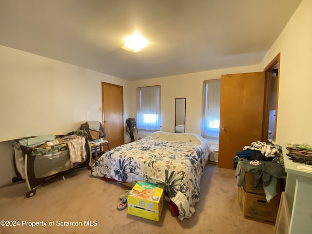 bedroom with carpet