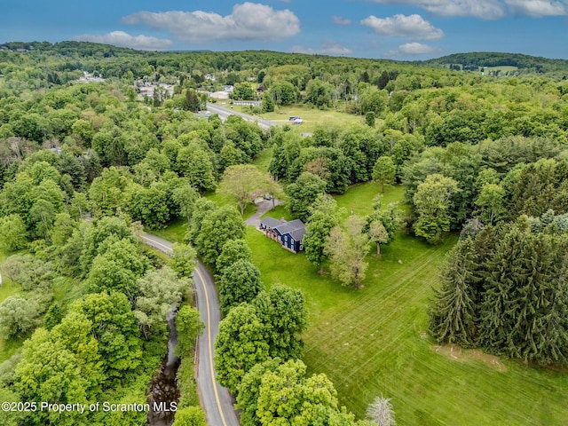 941 Old State Rd, Clarks Summit, PA 18411 - aerial view of a forest
