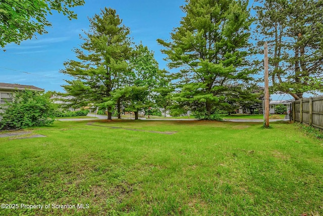 331 Drake St, Old Forge, PA 18518 - view of yard
