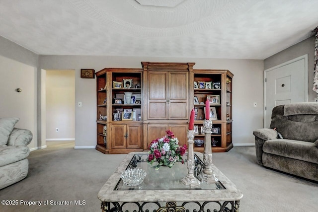 1130 Stafford Ave, Scranton, PA 18504 - living area featuring carpet flooring and baseboards