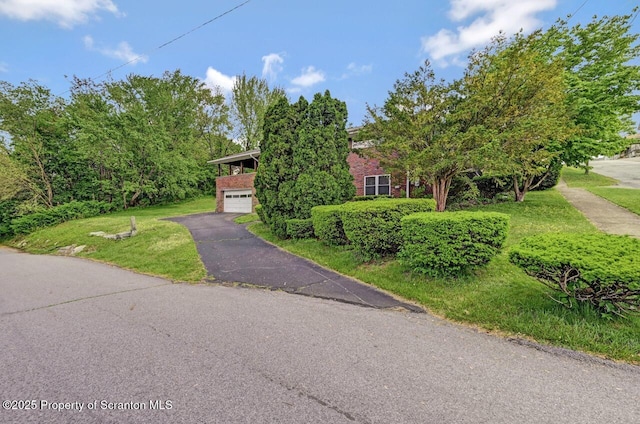 1130 Stafford Ave, Scranton, PA 18504 - view of front of property with brick siding, asphalt driveway, and a front lawn