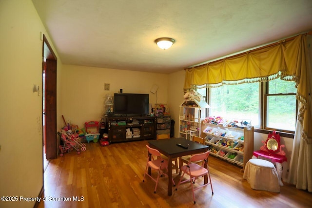 playroom with wood finished floors