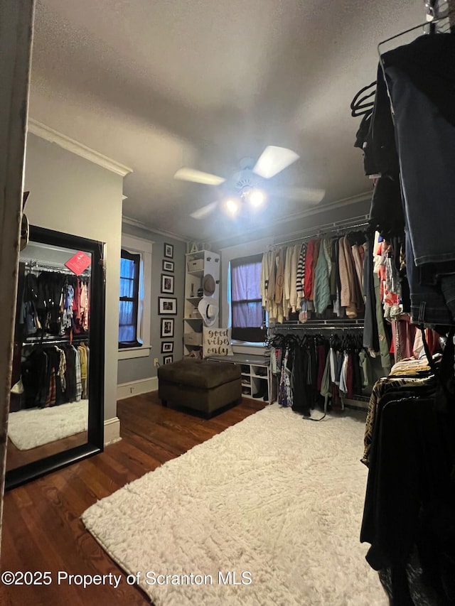 walk in closet featuring ceiling fan and wood finished floors