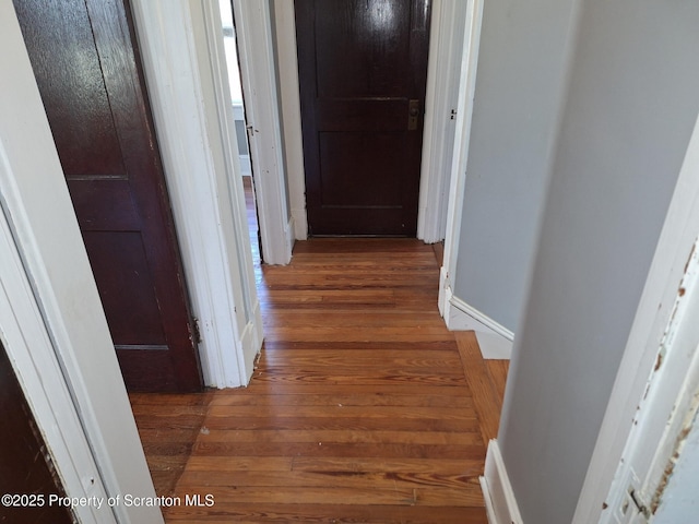 hall featuring wood-type flooring and baseboards