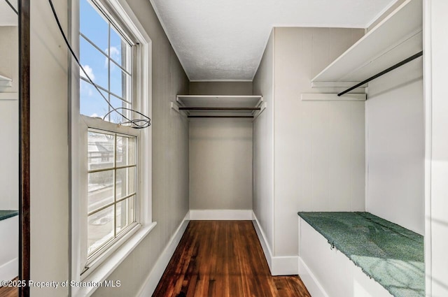 spacious closet with dark wood-type flooring