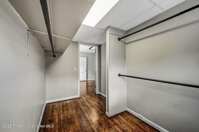 walk in closet featuring dark wood-type flooring and a paneled ceiling