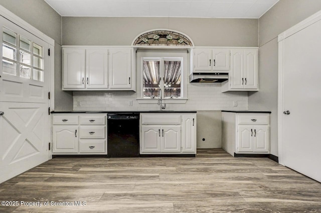 kitchen with white cabinetry, extractor fan, and dishwasher