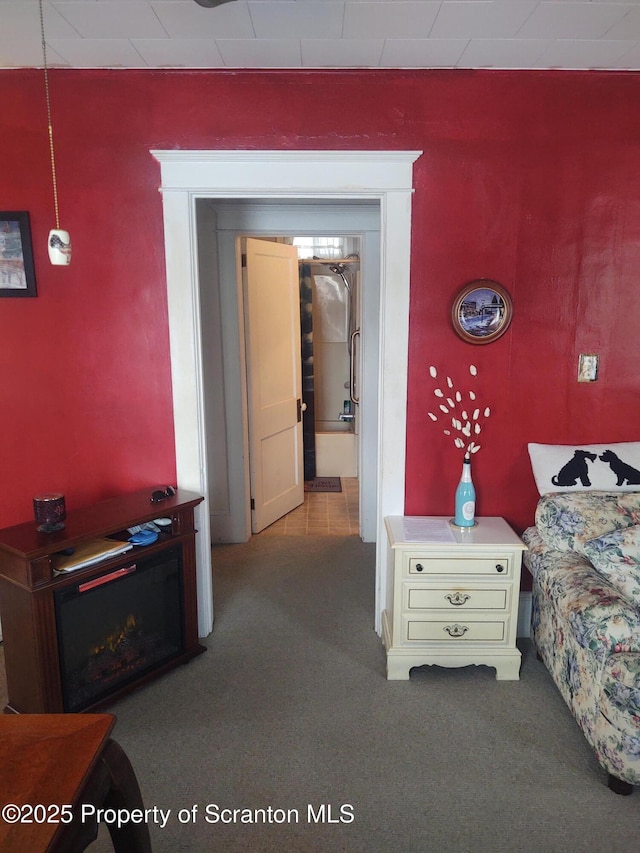 bedroom with carpet flooring