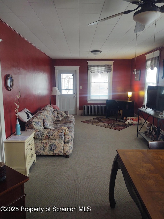 carpeted living room with ceiling fan and radiator heating unit