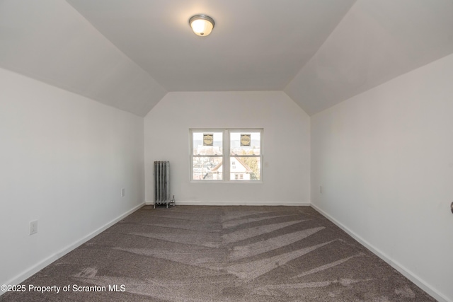 additional living space with lofted ceiling, baseboards, and carpet floors