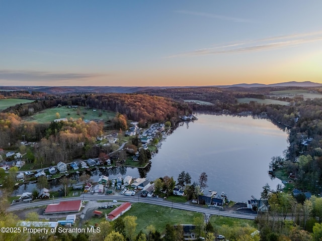 446 Lake Rd, Nicholson, PA 18446 - aerial view at dusk with a water and mountain view