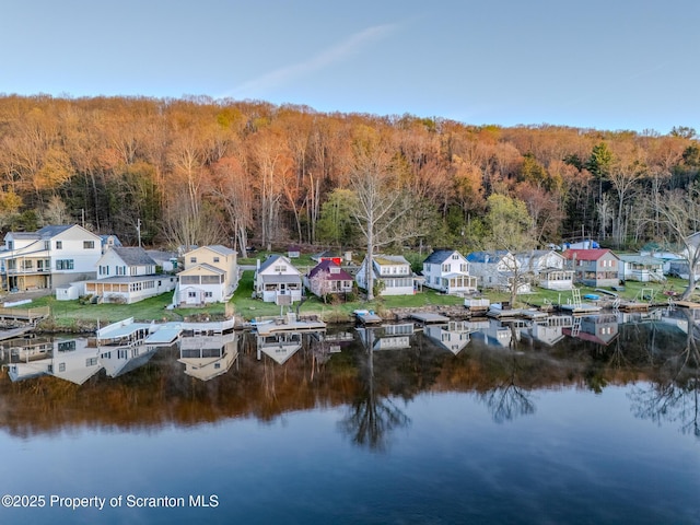 446 Lake Rd, Nicholson, PA 18446 - birds eye view of property featuring a wooded view, a residential view, and a water view