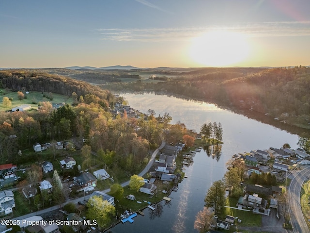 446 Lake Rd, Nicholson, PA 18446 - aerial view featuring a water view
