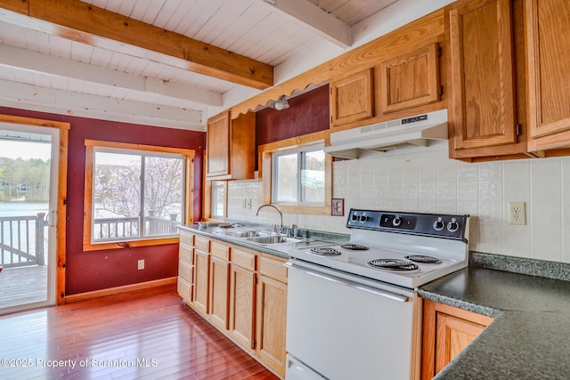 446 Lake Rd, Nicholson, PA 18446 - kitchen with a sink, under cabinet range hood, tasteful backsplash, light wood-style flooring, and white electric stove