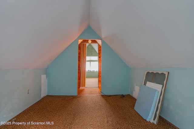 446 Lake Rd, Nicholson, PA 18446 - bonus room featuring carpet flooring and vaulted ceiling