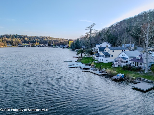 446 Lake Rd, Nicholson, PA 18446 - water view featuring a view of trees and a floating dock