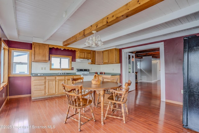 446 Lake Rd, Nicholson, PA 18446 - kitchen featuring light wood-style floors, electric range, under cabinet range hood, baseboards, and beam ceiling