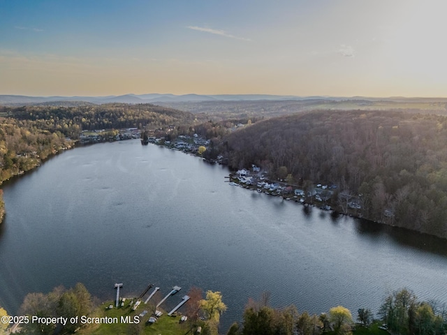 446 Lake Rd, Nicholson, PA 18446 - bird's eye view with a wooded view and a water view