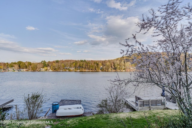 446 Lake Rd, Nicholson, PA 18446 - property view of water with a wooded view