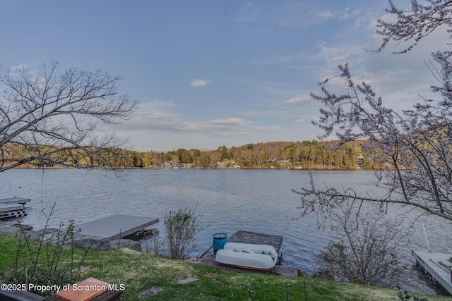 446 Lake Rd, Nicholson, PA 18446 - property view of water featuring a boat dock and a forest view