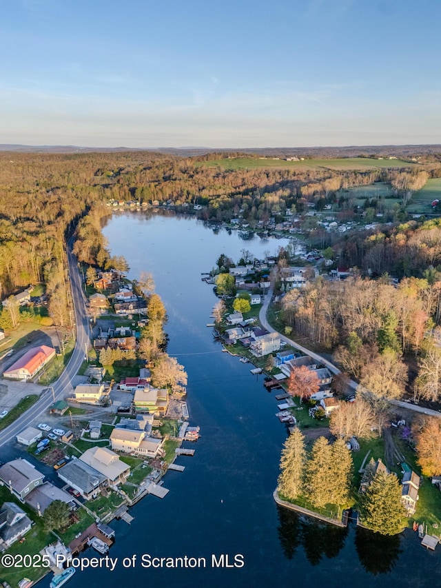 446 Lake Rd, Nicholson, PA 18446 - aerial view with a wooded view and a water view