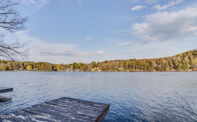 446 Lake Rd, Nicholson, PA 18446 - dock area with a water view and a wooded view
