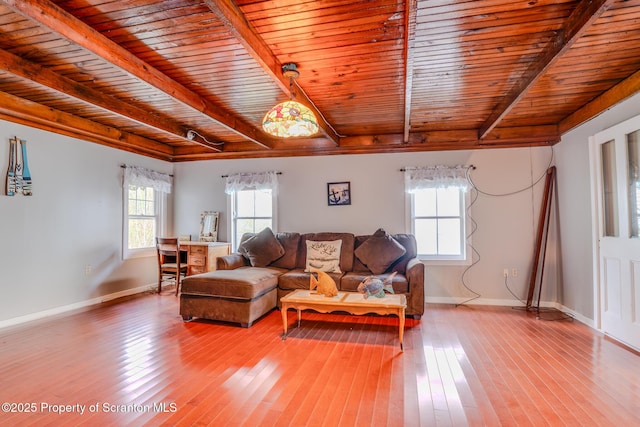 446 Lake Rd, Nicholson, PA 18446 - living area with wooden ceiling, hardwood / wood-style flooring, and baseboards