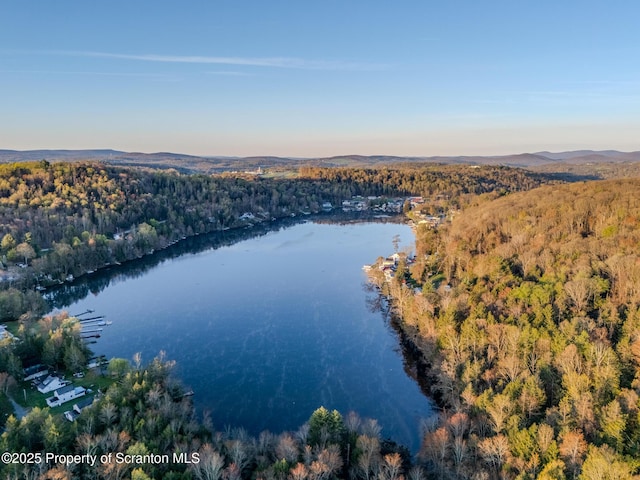 446 Lake Rd, Nicholson, PA 18446 - birds eye view of property with a water view and a view of trees