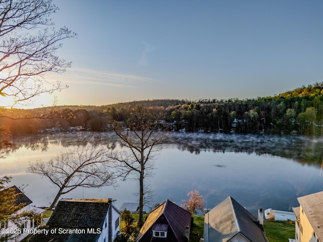 446 Lake Rd, Nicholson, PA 18446 - property view of water