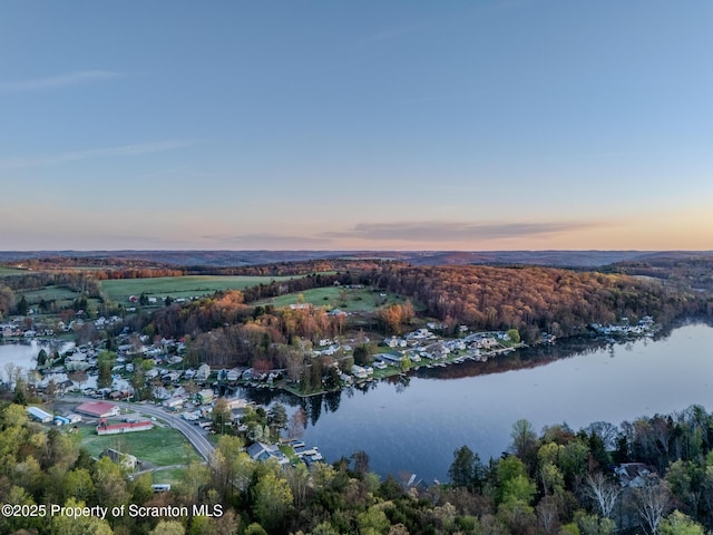 446 Lake Rd, Nicholson, PA 18446 - aerial view at dusk featuring a water view