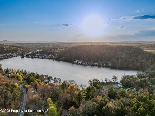 446 Lake Rd, Nicholson, PA 18446 - bird's eye view with a water view and a view of trees