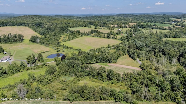 60 W Abington Rd, West Abington Twp, PA 18414 - photo 43