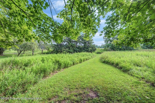 60 W Abington Rd, West Abington Twp, PA 18414 - photo 9