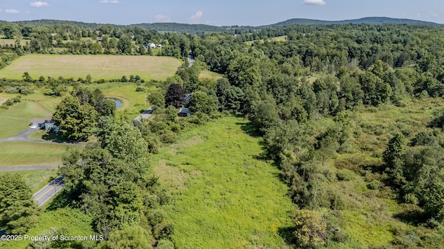 60 W Abington Rd, West Abington Twp, PA 18414 - photo 44