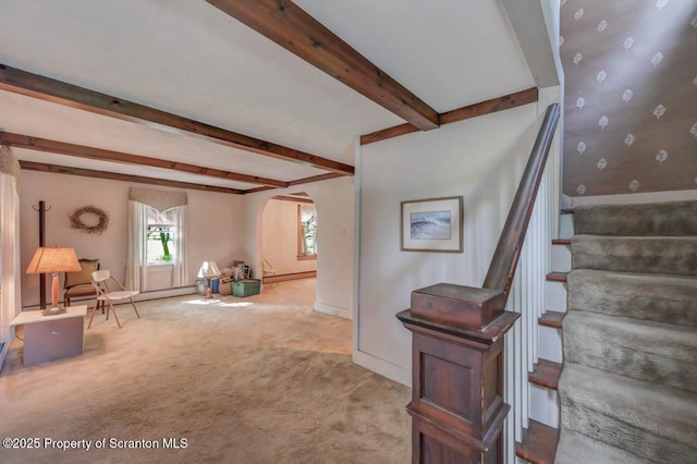 60 W Abington Rd, West Abington Twp, PA 18414 - photo 32