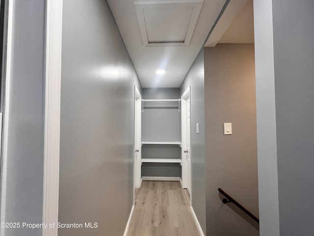 spacious closet featuring light wood-type flooring