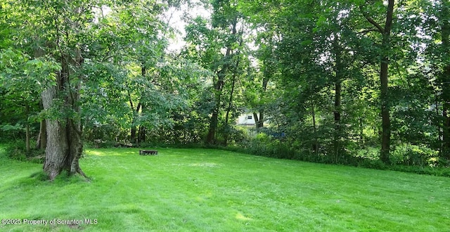 308 Marion St, Clarks Summit, PA 18411 - view of green lawn