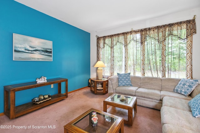 carpeted living room with baseboards and a wealth of natural light