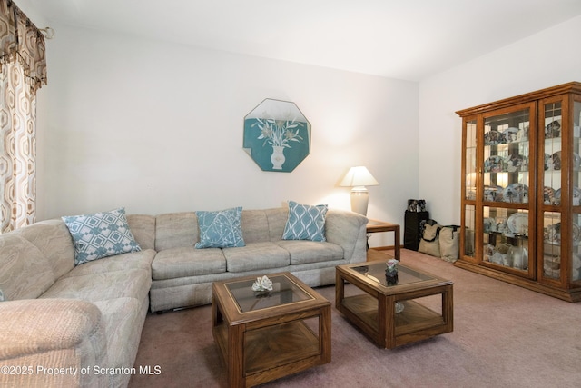 view of carpeted living area