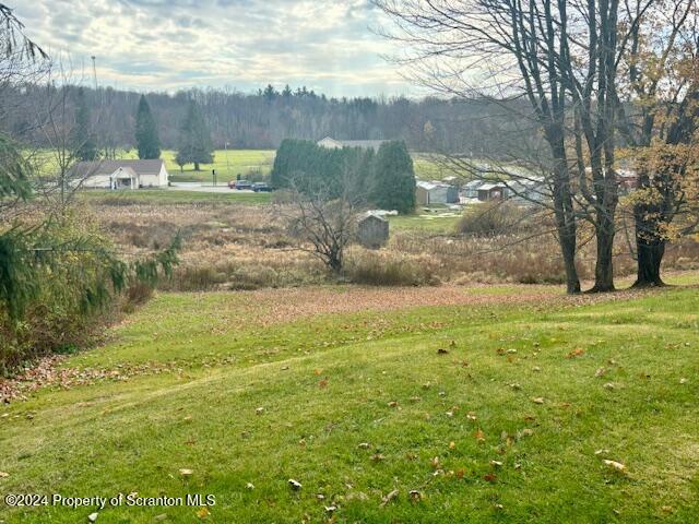 view of yard with a view of trees and a rural view