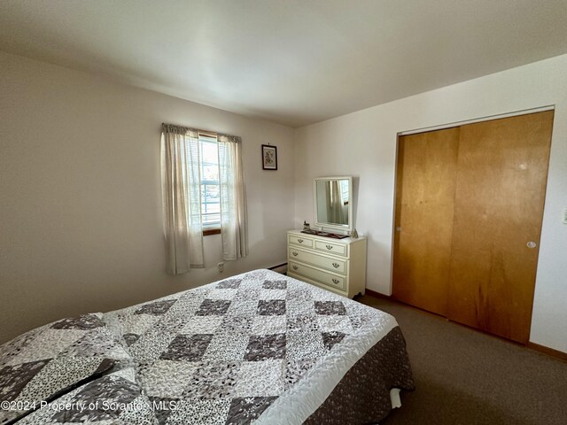 bedroom with carpet floors and a closet