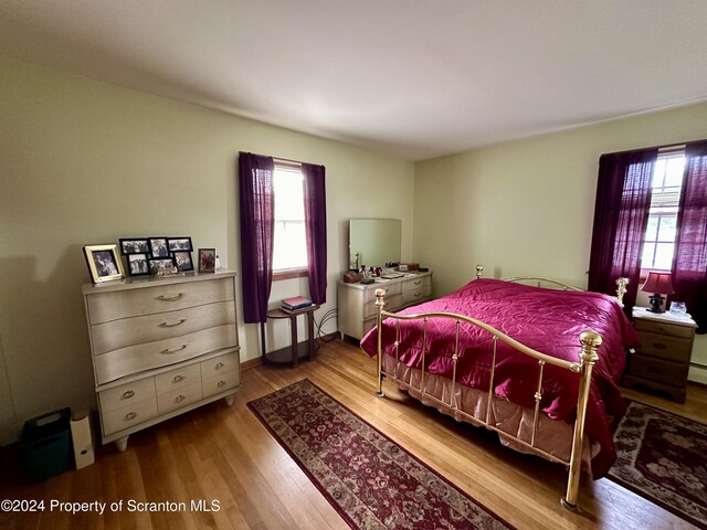 bedroom featuring multiple windows and wood finished floors