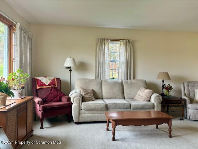 living room with light colored carpet